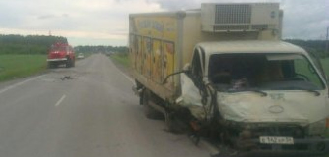 Под Новосибирском в ДТП с грузовиком погиб пассажир «Нивы»