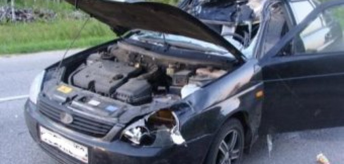 В Нижегородской области автомобиль сбил лося: водитель погиб