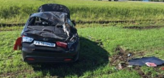 Жук стал причиной опрокидывания автомобиля под Тюменью