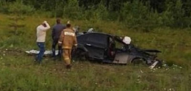 В Вологодской области иномарка сбила лося – погибли два человека