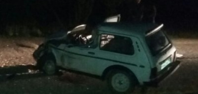 В Башкрии в ДТП с грузовиком погиб водитель «Нивы»