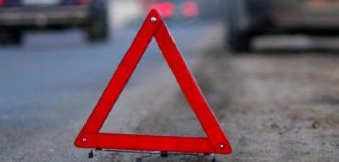 По вине шмеля два человека пострадали в ДТП под Ростовом