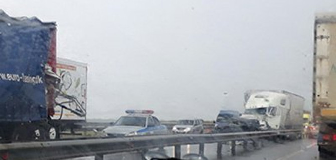 Женщина и девочка погибли в массовом ДТП под Воронежем