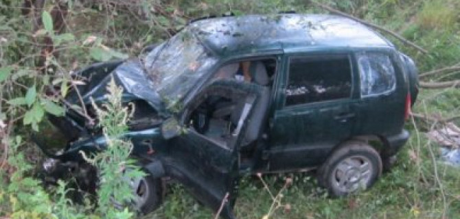 В Ивановской области водитель «Нивы» погиб, врезавшись в дерево