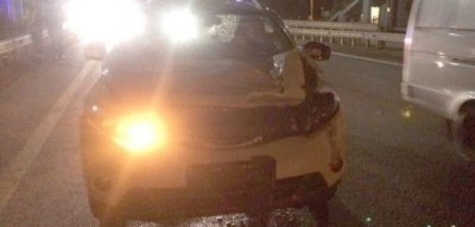 На М-4 в Тульской области иномарка насмерть сбила мужчину