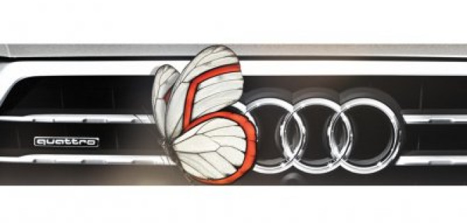 Летний бонус от Audi Service