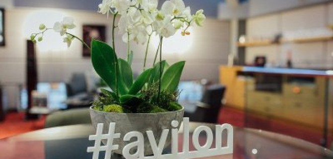 АВИЛОН «Мерседес–Бенц» на Воздвиженке отпраздновал День Рождения