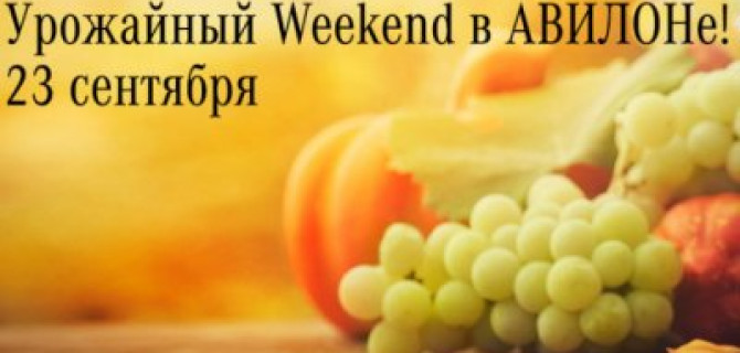 Приглашаем на урожайный weekend в АВИЛОН! 