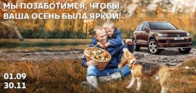 Проверка вашего Volkswagen по специальной цене