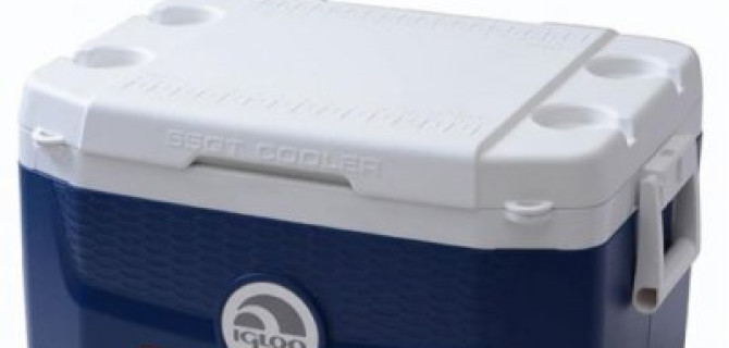 Как правильно выбрать автохолодильник? Виды оборудования