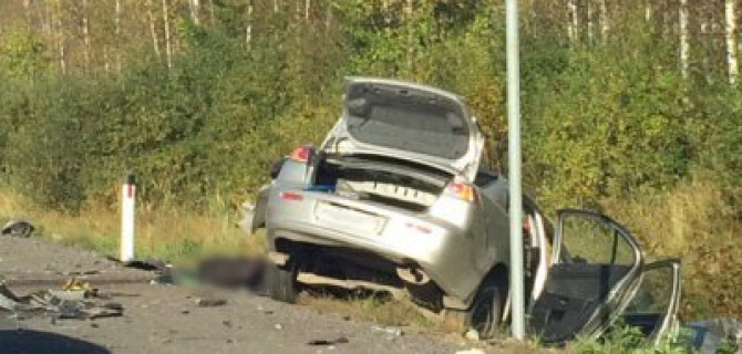 Водитель Mitsubishi погиб в ДТП в Лужском  районе