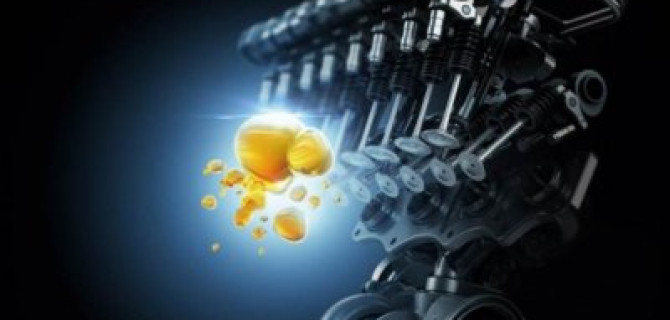 ДОЛГОВЕЧНОСТЬ – ДВИГАТЕЛЬ УСПЕХА.