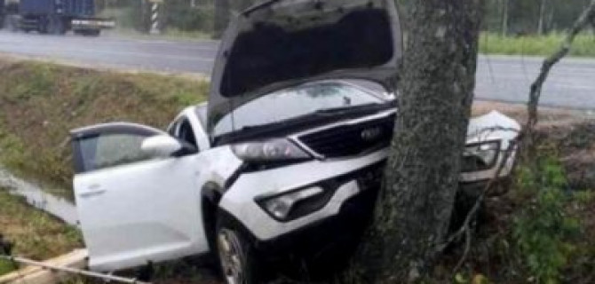 Под Ростовом KIA врезалась в дерево – погиб пассажир