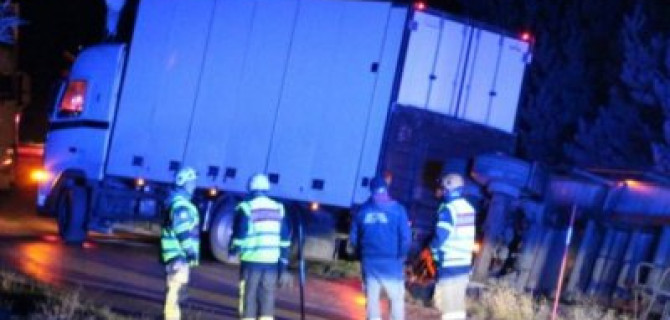 В Швеции перевернулся грузовик с 20 тоннами фрикаделек