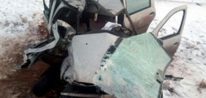 Под Астраханью из-за лошадей на трассе в ДТП погиб человек