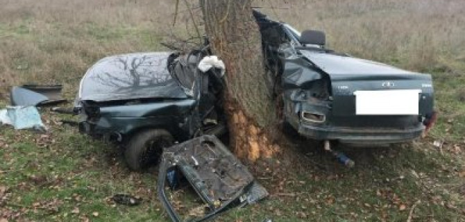 На Ставрополье «Лада» врезалась в дерево – водитель погиб