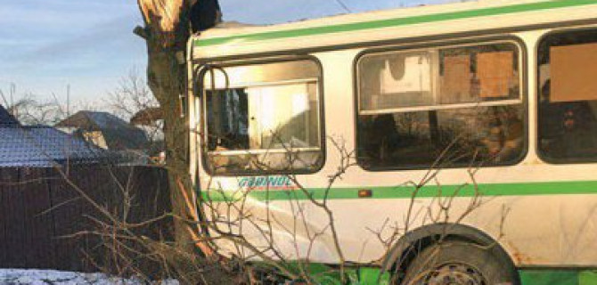 Автобус попал в ДТП на Дороге Жизни в Ленобласти: есть пострадавшие