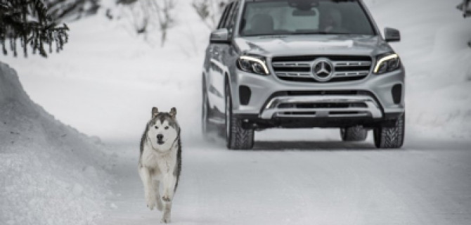 Зимние Лайфхаки от АВИЛОН 