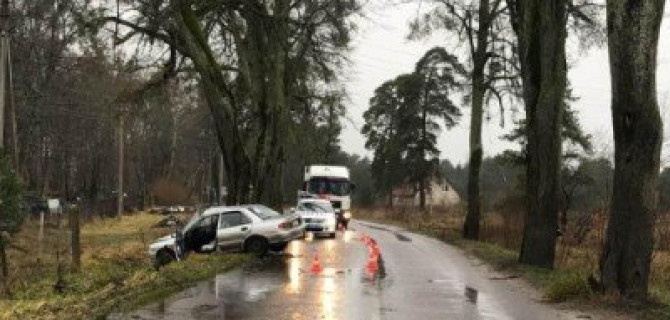 Двухлетняя девочка погибла в ДТП под Калининградом