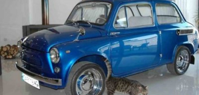 "Горбатый" ЗАЗ-965А почти как из "Простоквашино" продаётся за 42 тысяч долларов