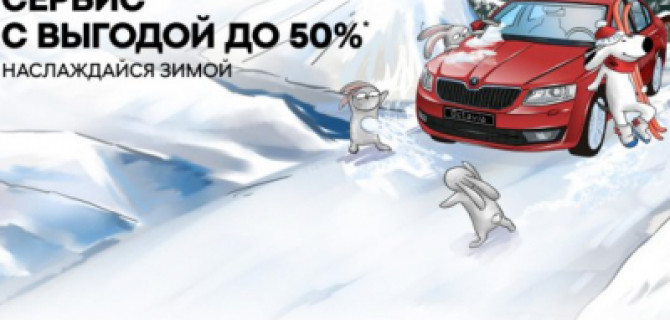 Цены падают, как снежинки! Сервис SKODA с выгодой до 50%!