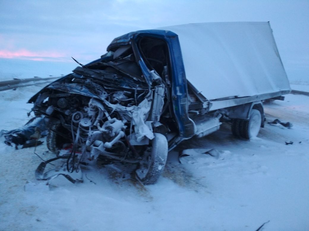 В Орловской области фура насмерть сбила трех человек (2)