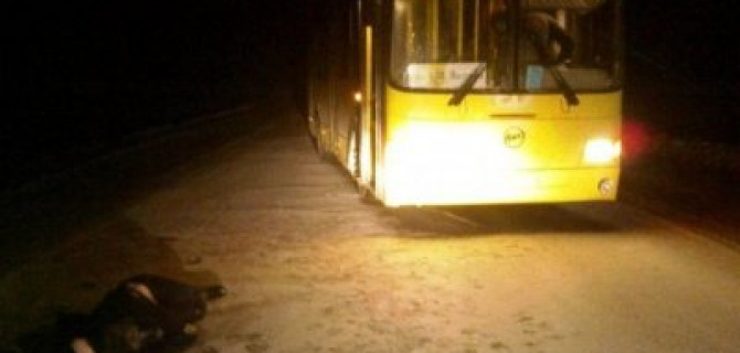 Автобус насмерть сбил человека под Смоленском