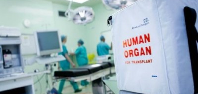 Водителей хотят заставить при получении прав решать, готовы ли они "пойти на органы"