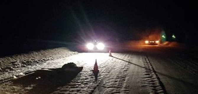 В Коми ВАЗ насмерть сбил пешехода