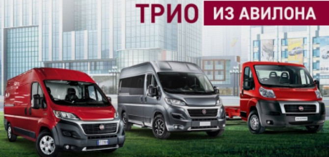 Трио из АВИЛОНА