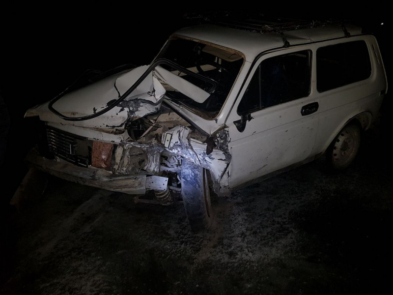 Двое детей погибли в ДТП в Приамурье (2)