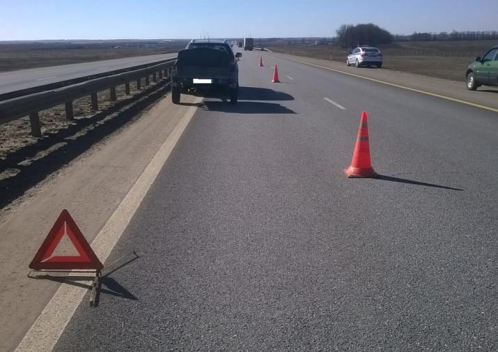 На трассе «Дон» в ДТП погиб пешеход