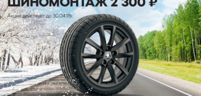 Весенний шиномонтаж ŠKODA: асфальт греется, цены тают!