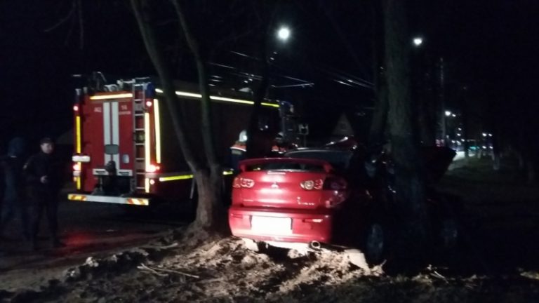 В Коврове иномарка врезалась в дерево - погиб пассажир