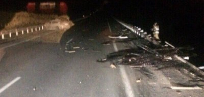 Два человека погибли в ДТП с лосем в Кемеровском районе