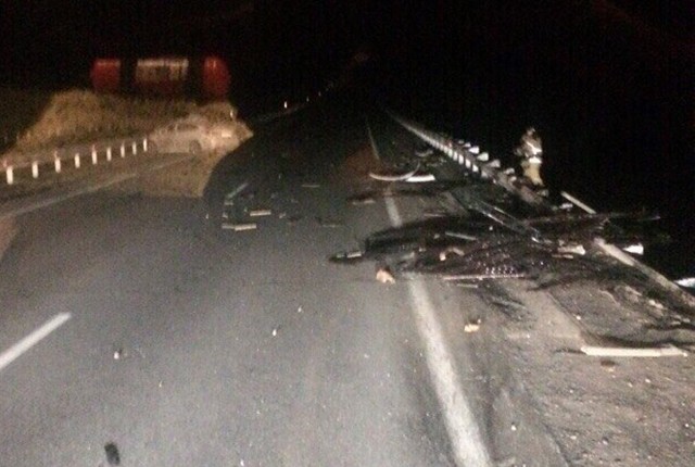 Два человека погибли в ДТП с лосем в Кемеровском районе