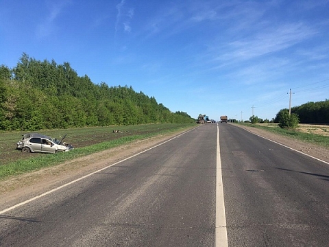 Две женщины погибли в ДТП с грузовиком в Сеченовском районе (3)