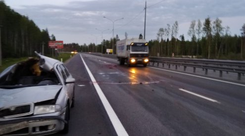 Лосенок устроил серьезное ДТП на Новоприозерском шоссе (1)
