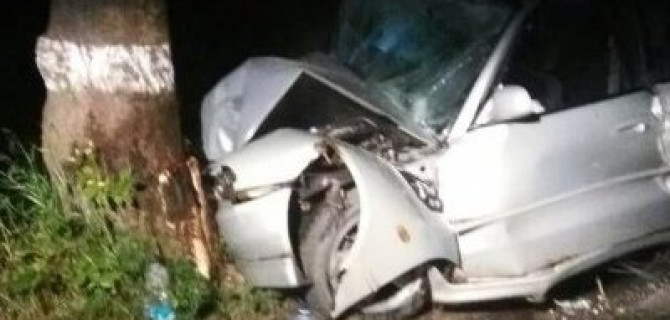 Под Калининградом иномарка врезалась в дерево – водитель погиб