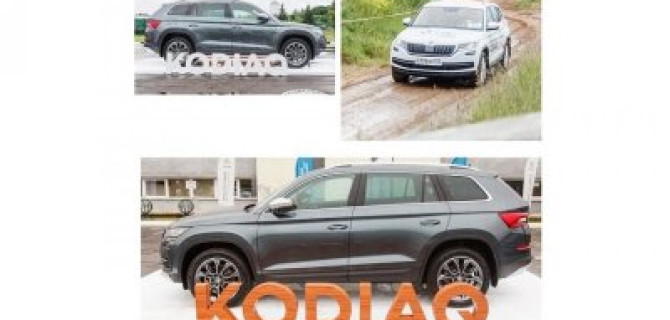 SKODA KODIAQ – покоритель бездорожья!