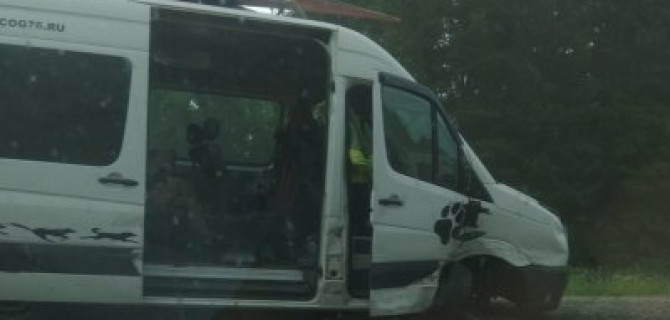 Один человек погиб в ДТП с микроавтобусом в Ярославской области
