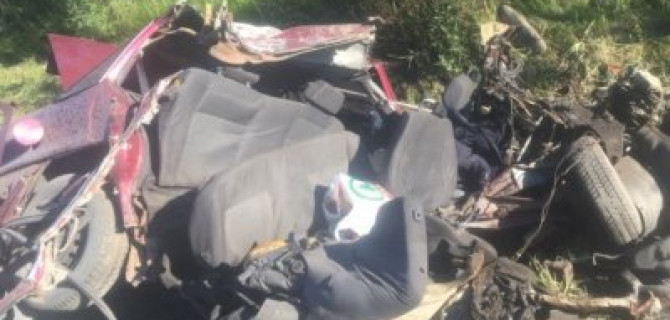 Два человека погибли в ДТП с лосем на трассе «Кола» в Ленобласти