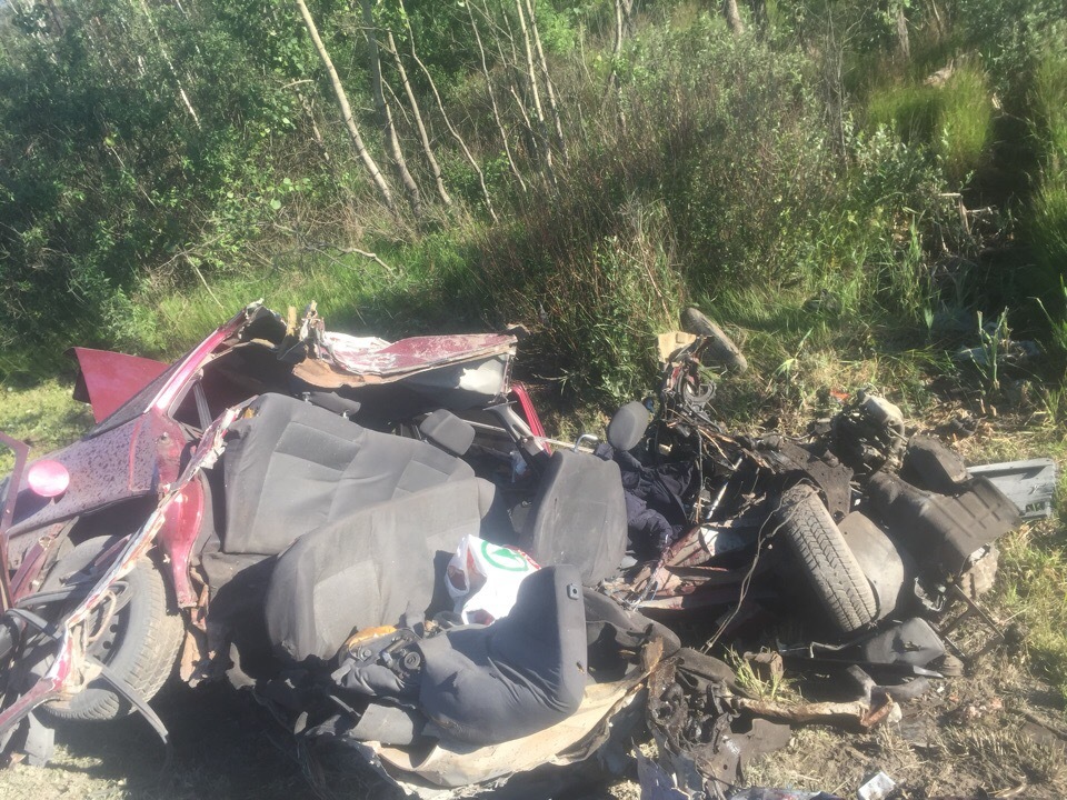 Два человека погибли в ДТП с лосем на трассе «Кола» в Ленобласти (1)