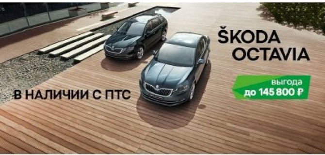 Ваш новый член семьи! SKODA OCTAVIA в ВЕНТУС