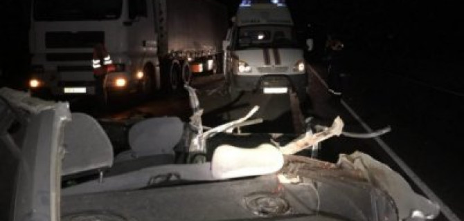 Два человека погибли в ночном ДТП в Воскресенском районе Саратовской области