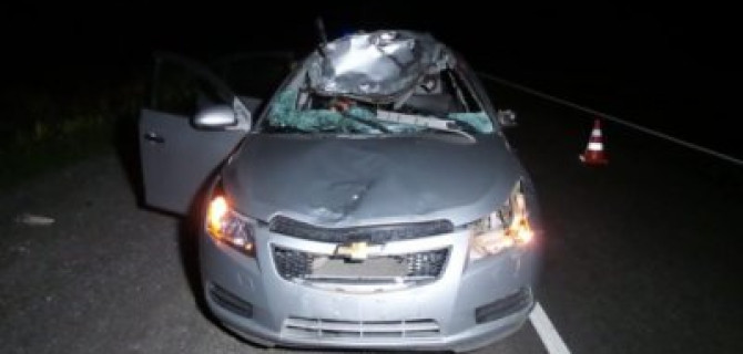 Женщина погибла в ДТП с лосем на трассе Екатеринбург — Каменск-Уральский