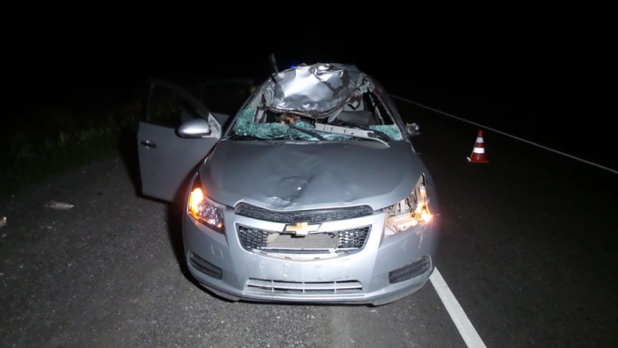 Женщина погибла в ДТП с лосем на трассе Екатеринбург — Каменск-Уральский