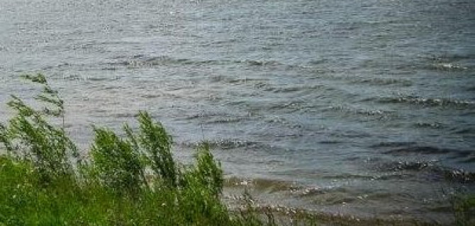 Женщина и 5-летний ребенок утонули в машине в Челябинской области