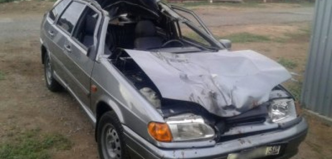 В ДТП с верблюдом под Астраханью пострадали три человека