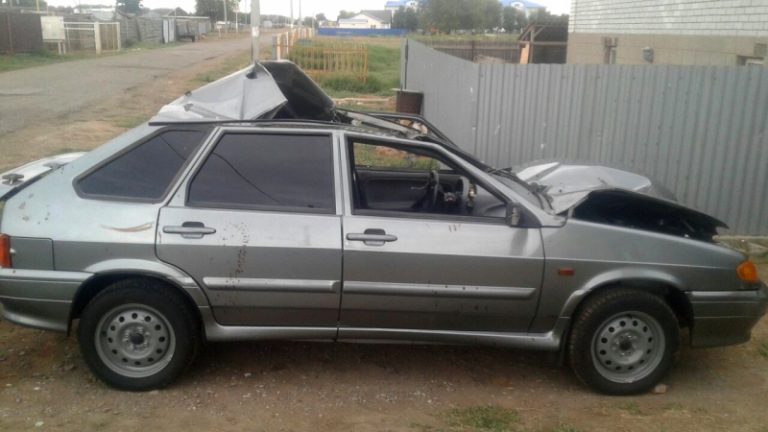 В ДТП с верблюдом под Астраханью пострадали три человека 1